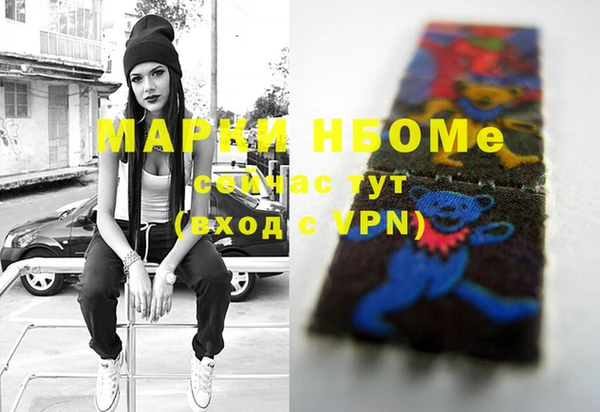 бошки Бронницы
