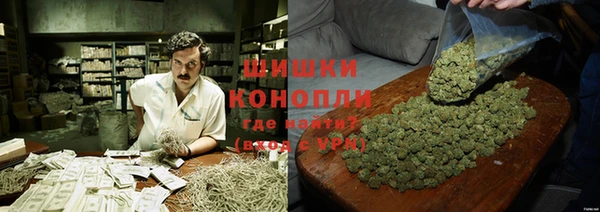 бошки Бронницы