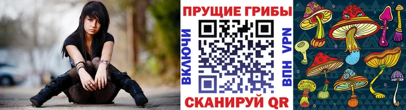 Галлюциногенные грибы Cubensis  Купить  Краснозаводск 